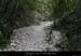 20080508_combedelafarre2