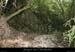 20080508_combedelafarre3