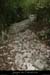 20080508_combedelafarre6