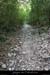 20080508_combedelafarre7