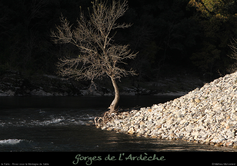 20161112_farre6
