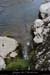 20080508_falaisebasfarresrc