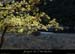 20120916_montagnesable2