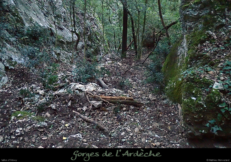 20161229_vallonsoussaleyron