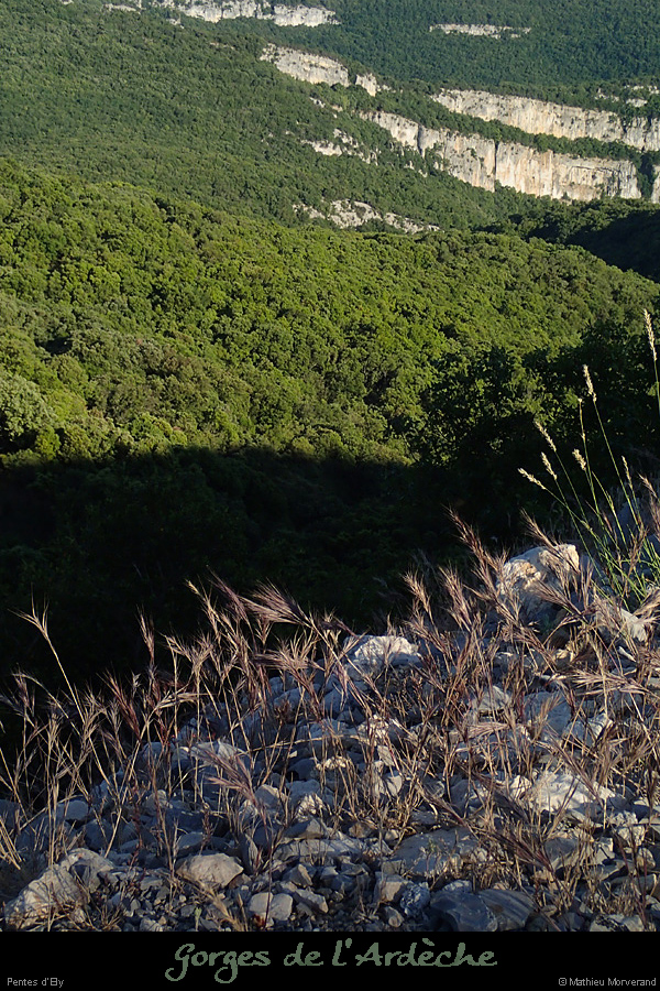20150531_gorgesdeserredetourre