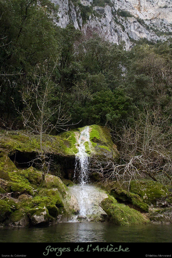 20130405_sourcecolombier1