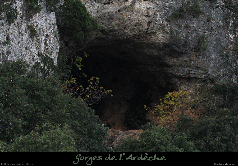20161112_colombier