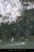 20090101_colombie_resurgence2