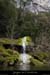20130405_sourcecolombier1