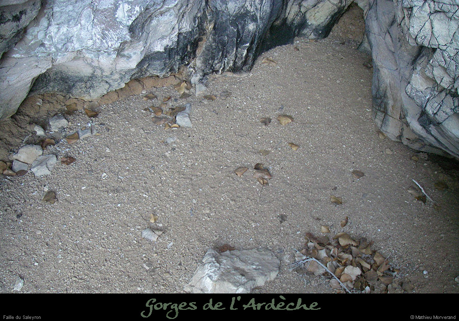 20090220_faillesaleyron_grottessarche3