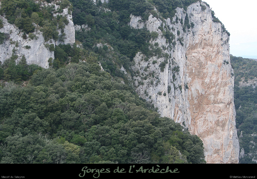 20081226_saleyron_falaise2