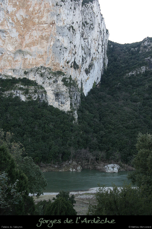 20090101_saleyronfalaise3