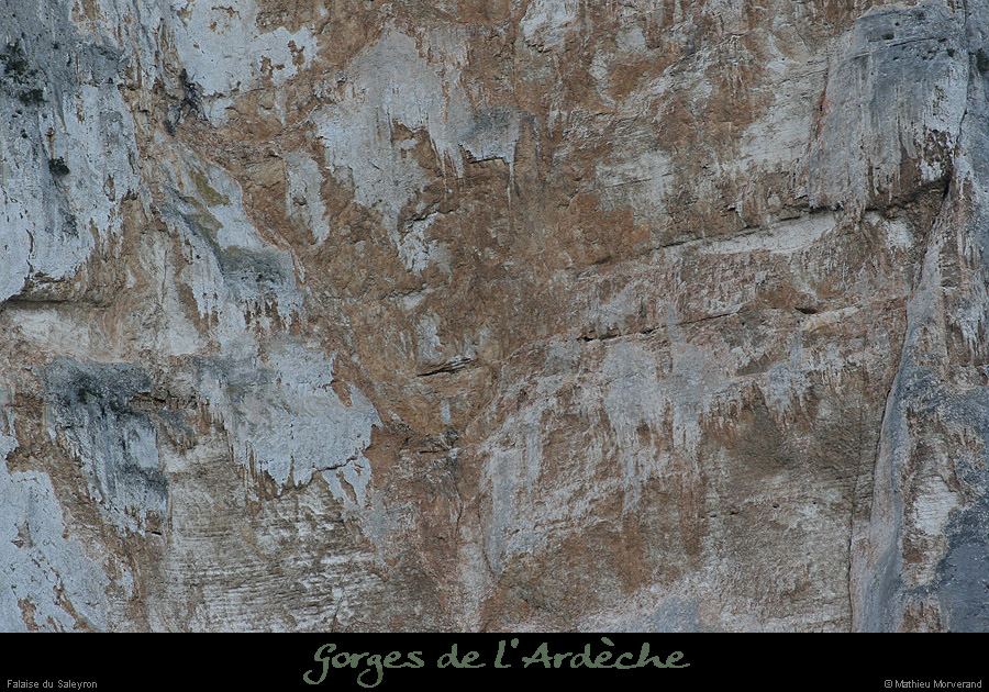 20090101_saleyronfalaise4