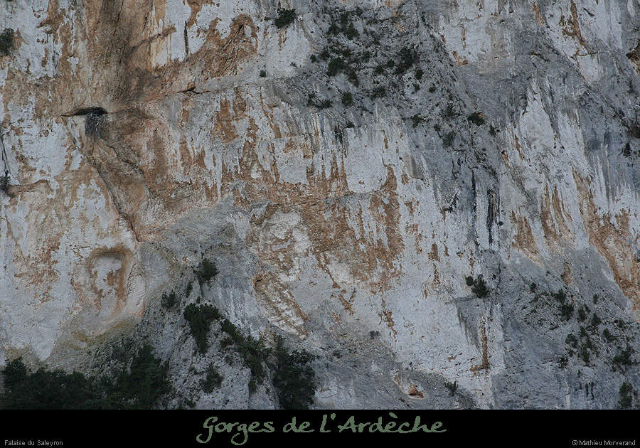 20090101_saleyronfalaise5