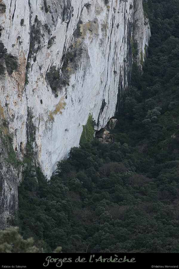 20090101_saleyronfalaisebas1