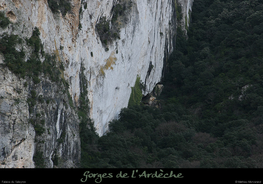 20090101_saleyronfalaisebas2