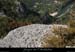20090815_htfalaisesaleyronpierrier3