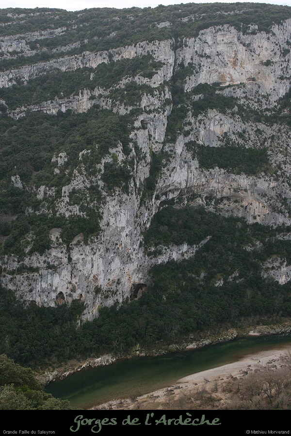 20081228_saleyrongrefaille1