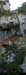 20081227_saleyron_arche1_01