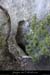 20081227_saleyron_arche1_grotte3