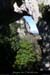 20090220_saleyrongrdearche2