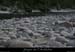 20110424_saleyron_meandresscolombier4
