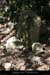 20080508_belvsaleyronborne