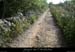 20080508_saleyronsudpiste