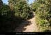 20090815_massifsaleyroncheminnw