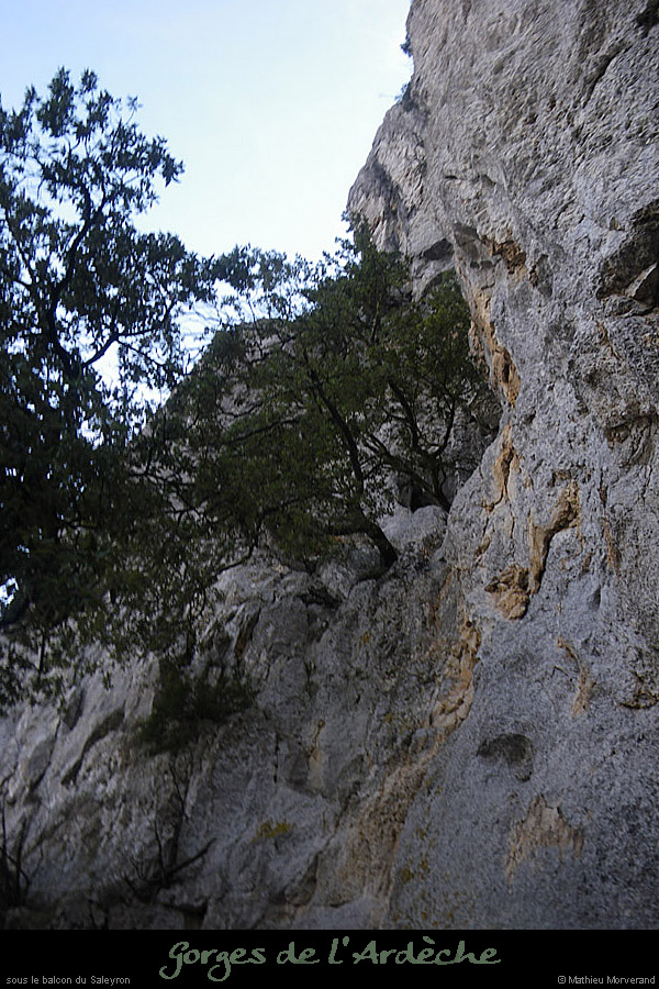20110128_pontiarw2_falaise2