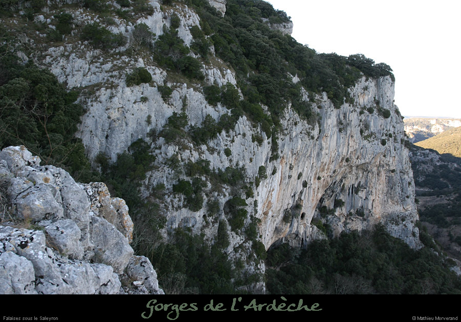 20081221_falaisessaleyron1
