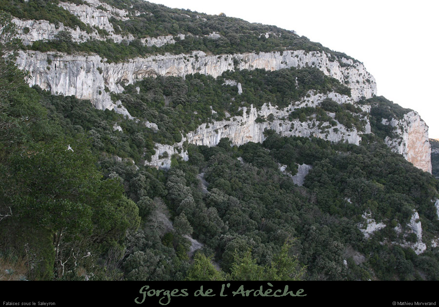 20081221_falaisessaleyron3
