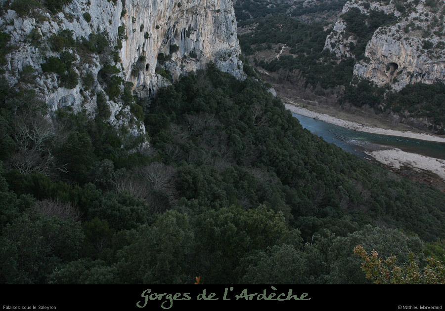 20081221_falaisessaleyron4
