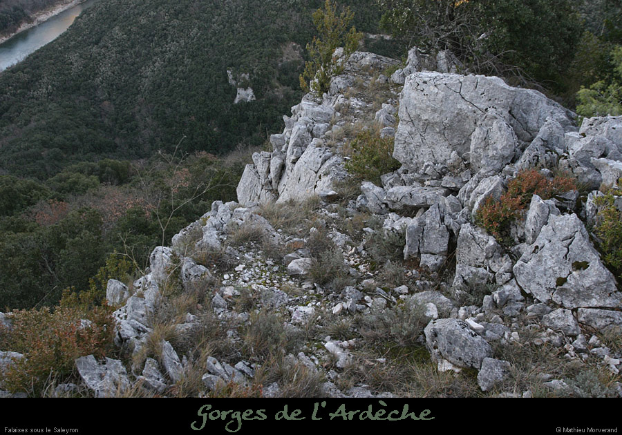 20081221_falaisessaleyron5