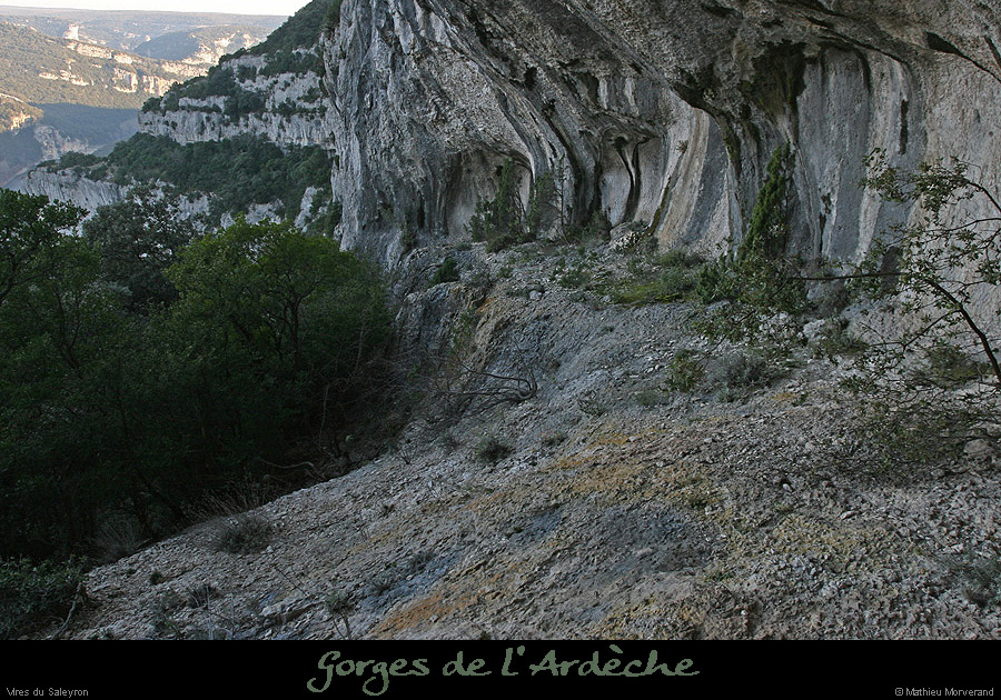 20081227_saleyron_viresup_baume2