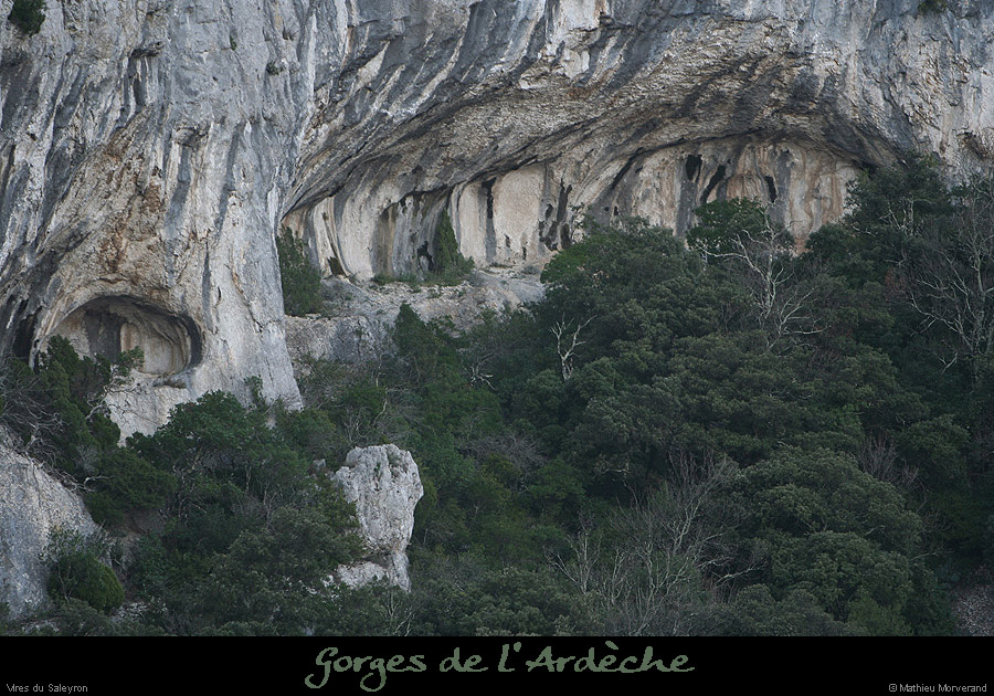 20081227_saleyron_viresup_baume4