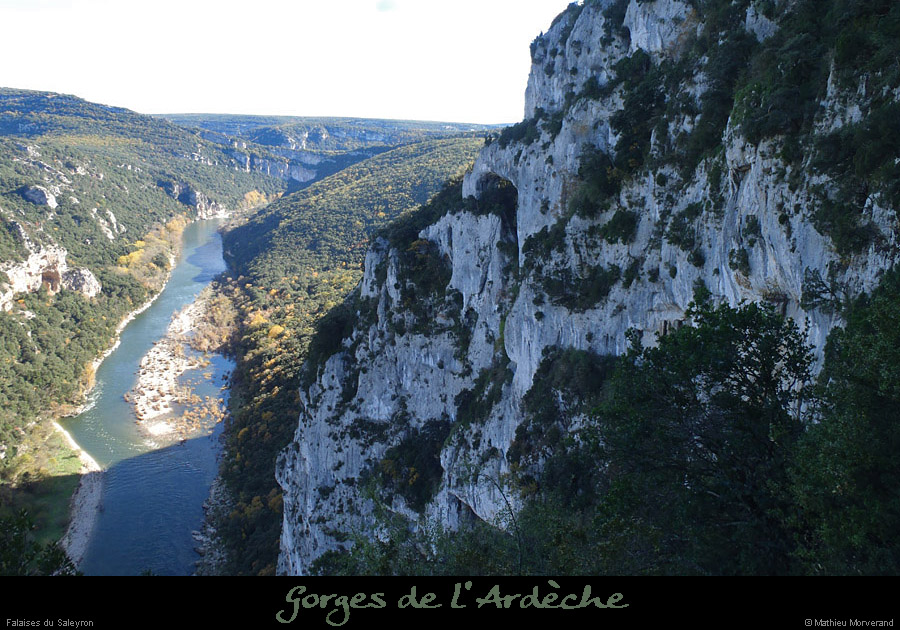 20101104_charmassonnetdesaleyron4