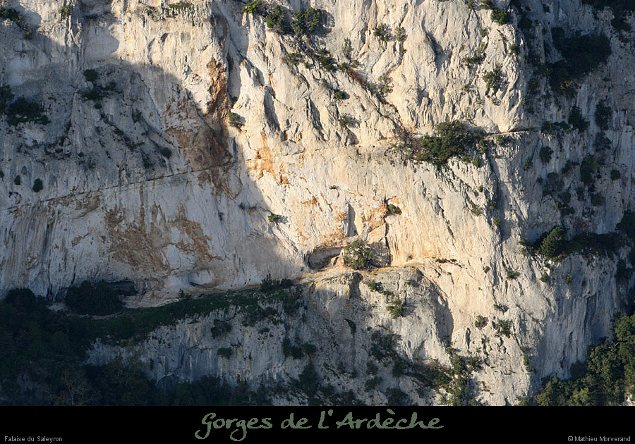 20101113_viressaleyronwdepuisleserredetourre1