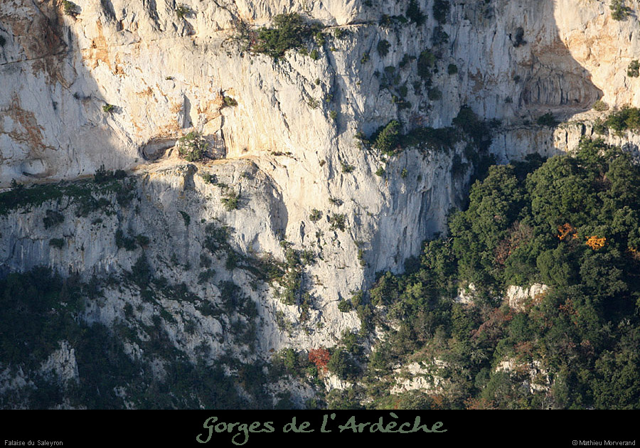20101113_viressaleyronwdepuisleserredetourre2