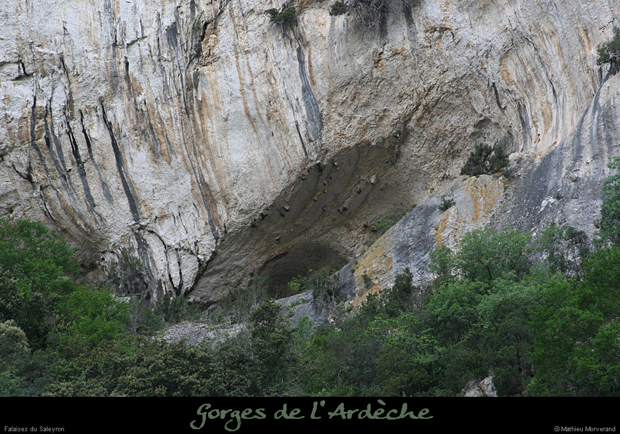 20110424_saleyron_baumebasdefalaise2
