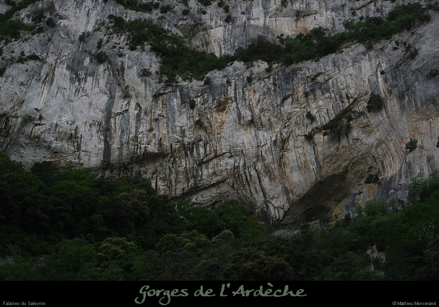 20110424_saleyron_baumebasdefalaise3