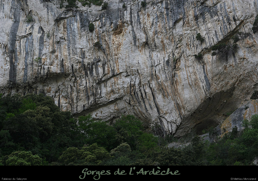 20110424_saleyron_baumebasdefalaise4