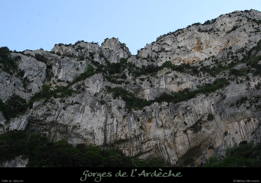 20110424_saleyron_grdefailleetvires1
