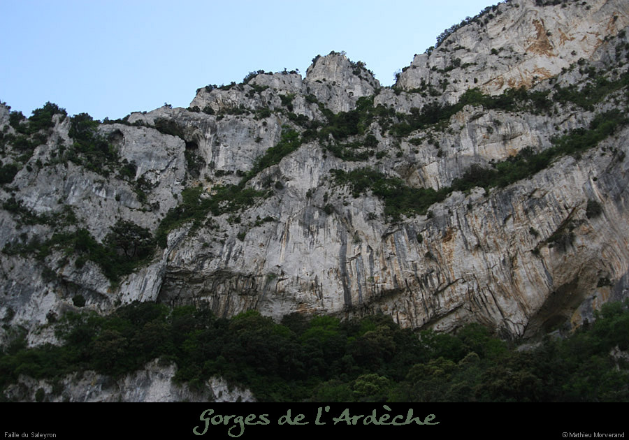 20110424_saleyron_grdefailleetvires2