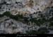 20110424_saleyron_vires2