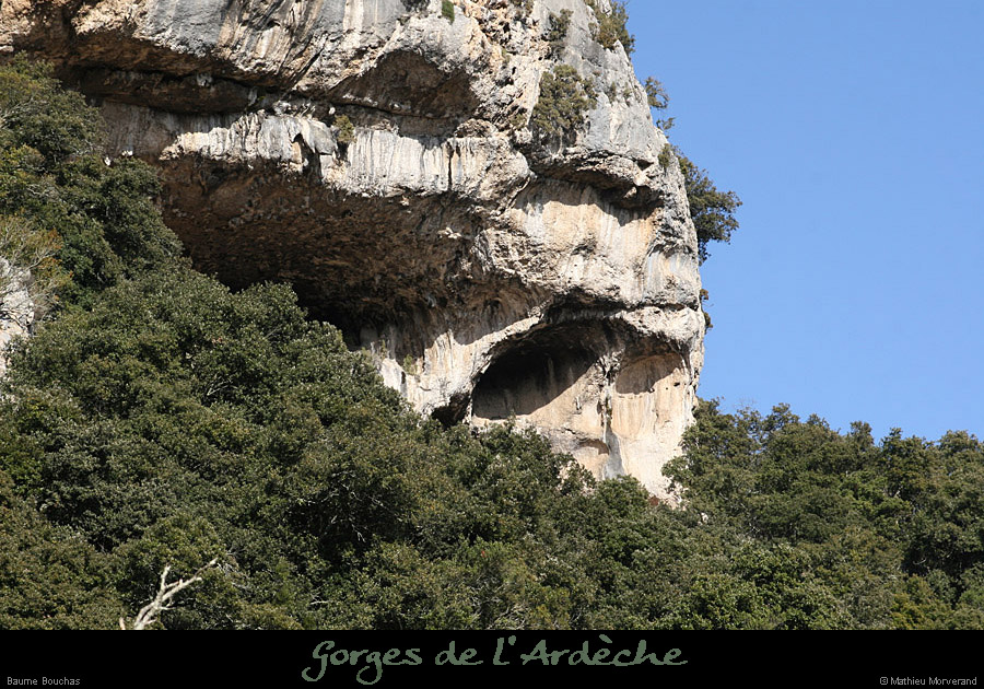 20090307_baumebouchas05