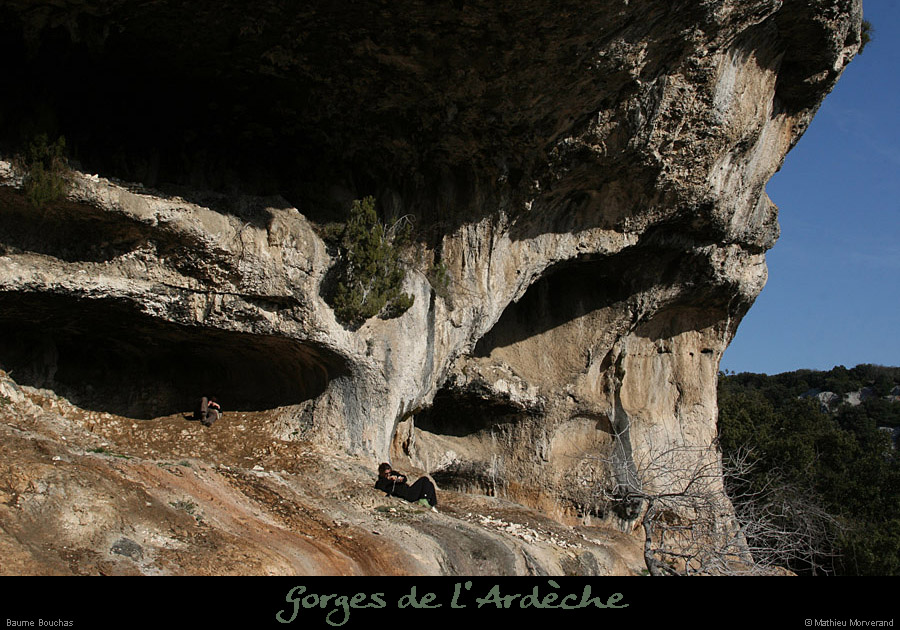 20090307_baumebouchas14