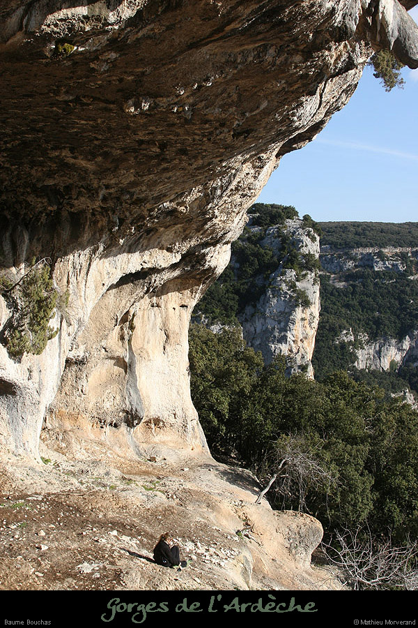 20090307_baumebouchas17