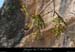 20080407_baumebouchas