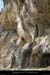20090307_baumebouchas29